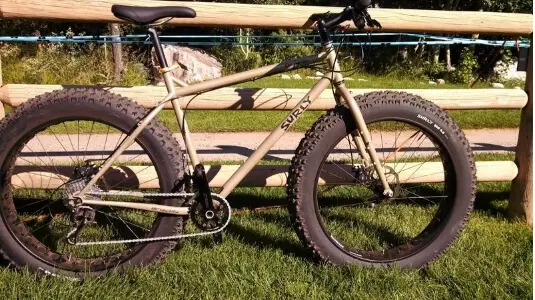 Surly bi